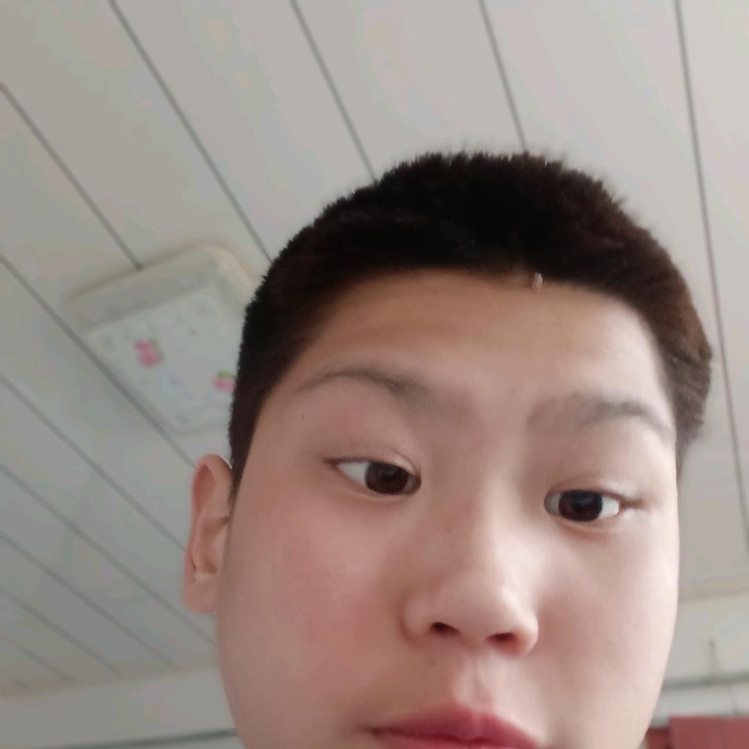 东北坡度头像