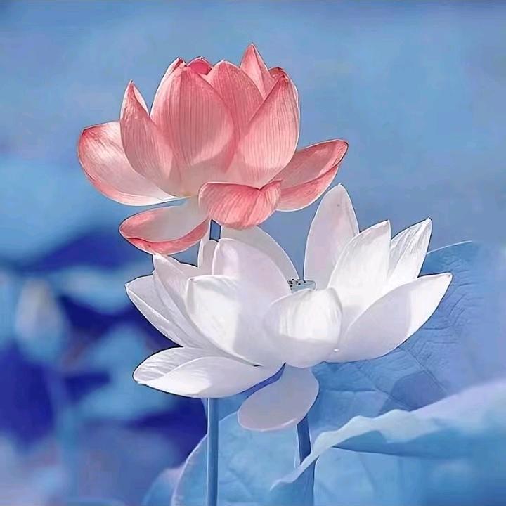 分忧解难