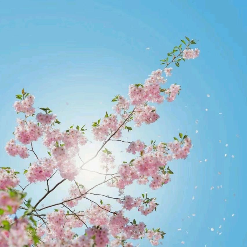 梵