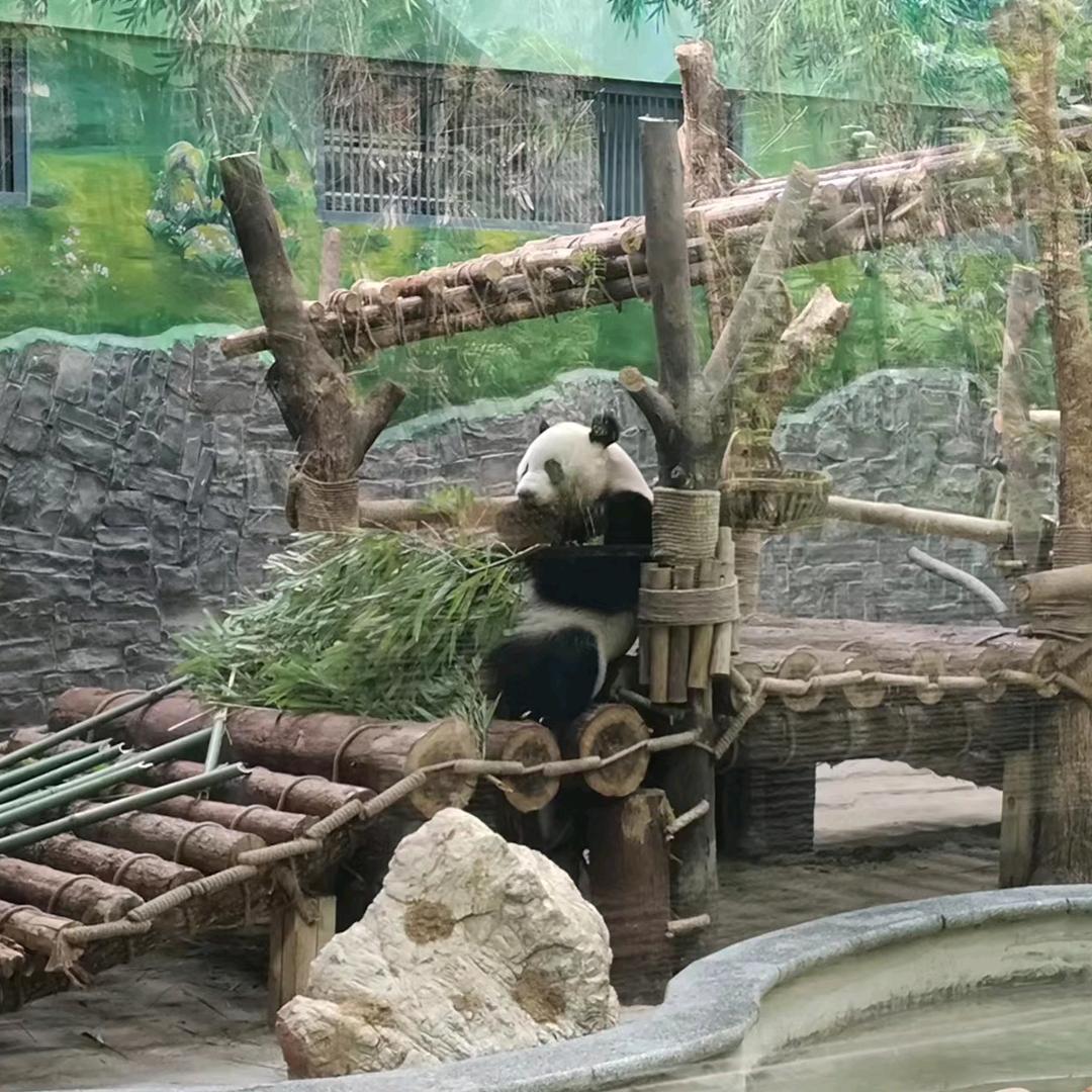 小财