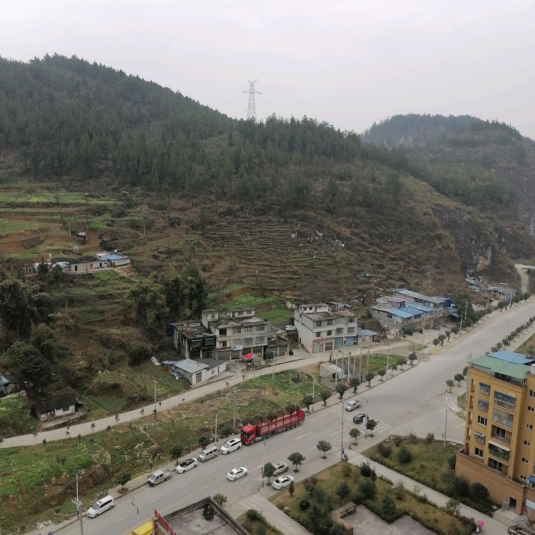 用户灵犀阿友6156734293750