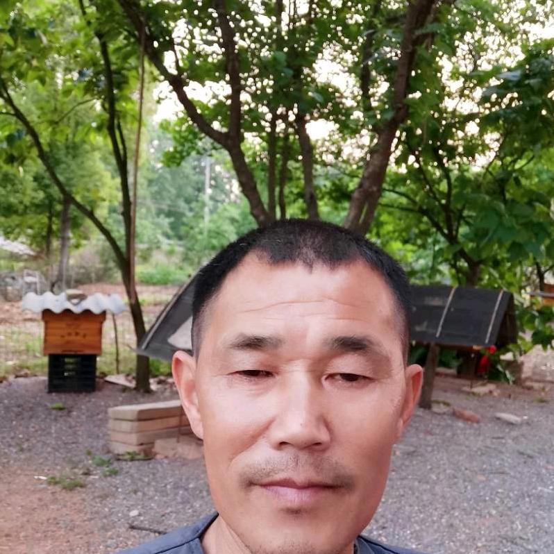 老土  农家土蜂蜜