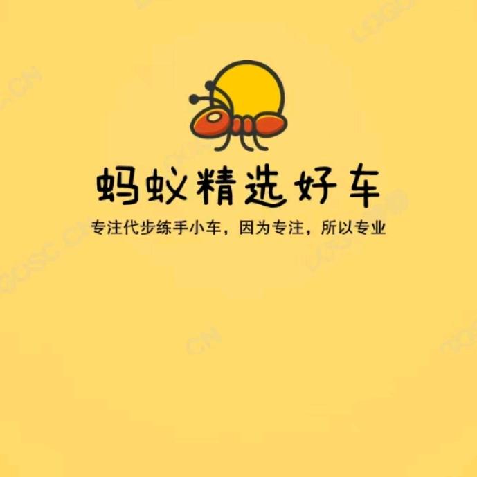张家港蚂蚁精选二手车