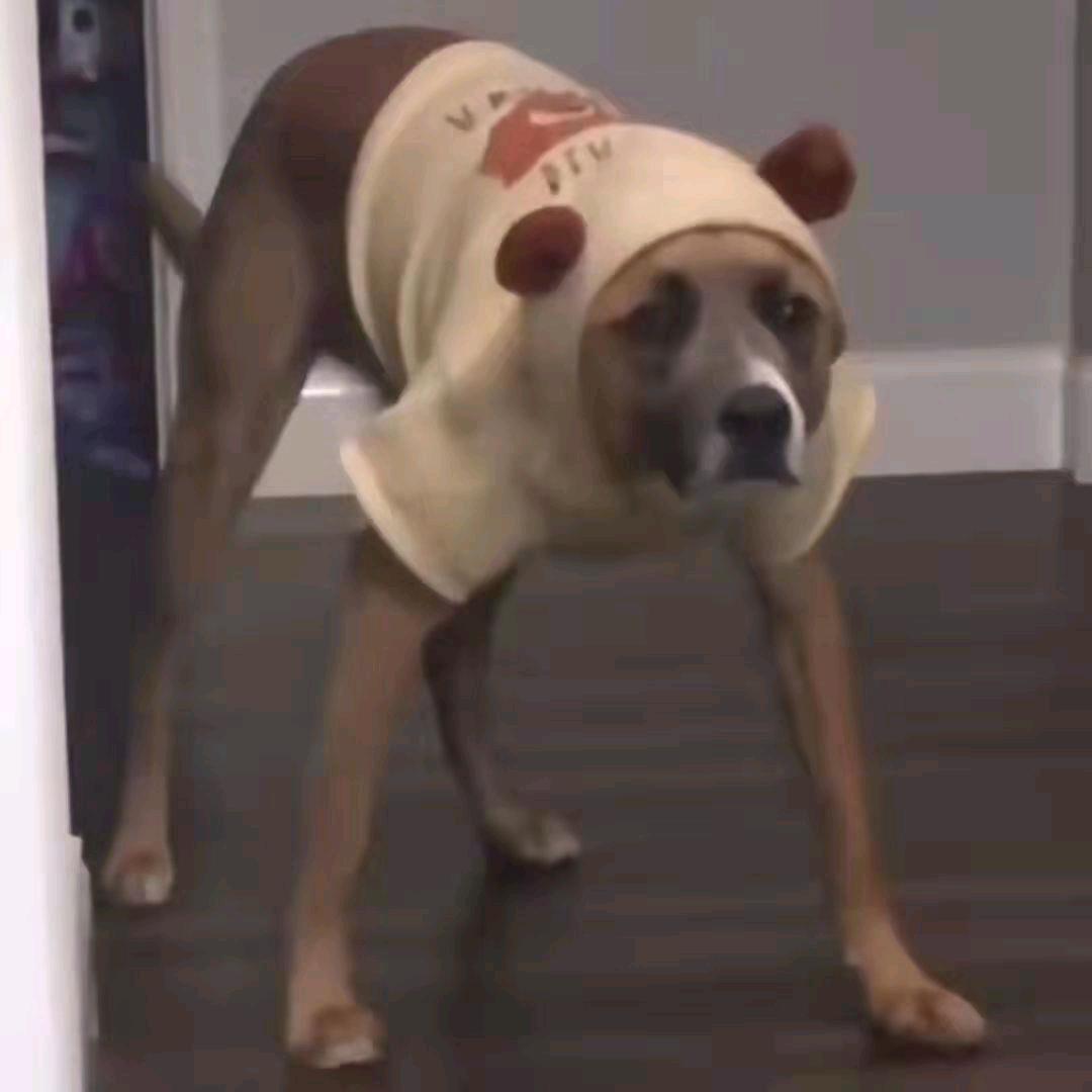 大铁头