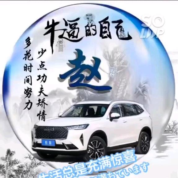 挖机联盟づ磊少