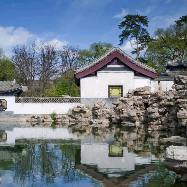 ROddanew雾里看花