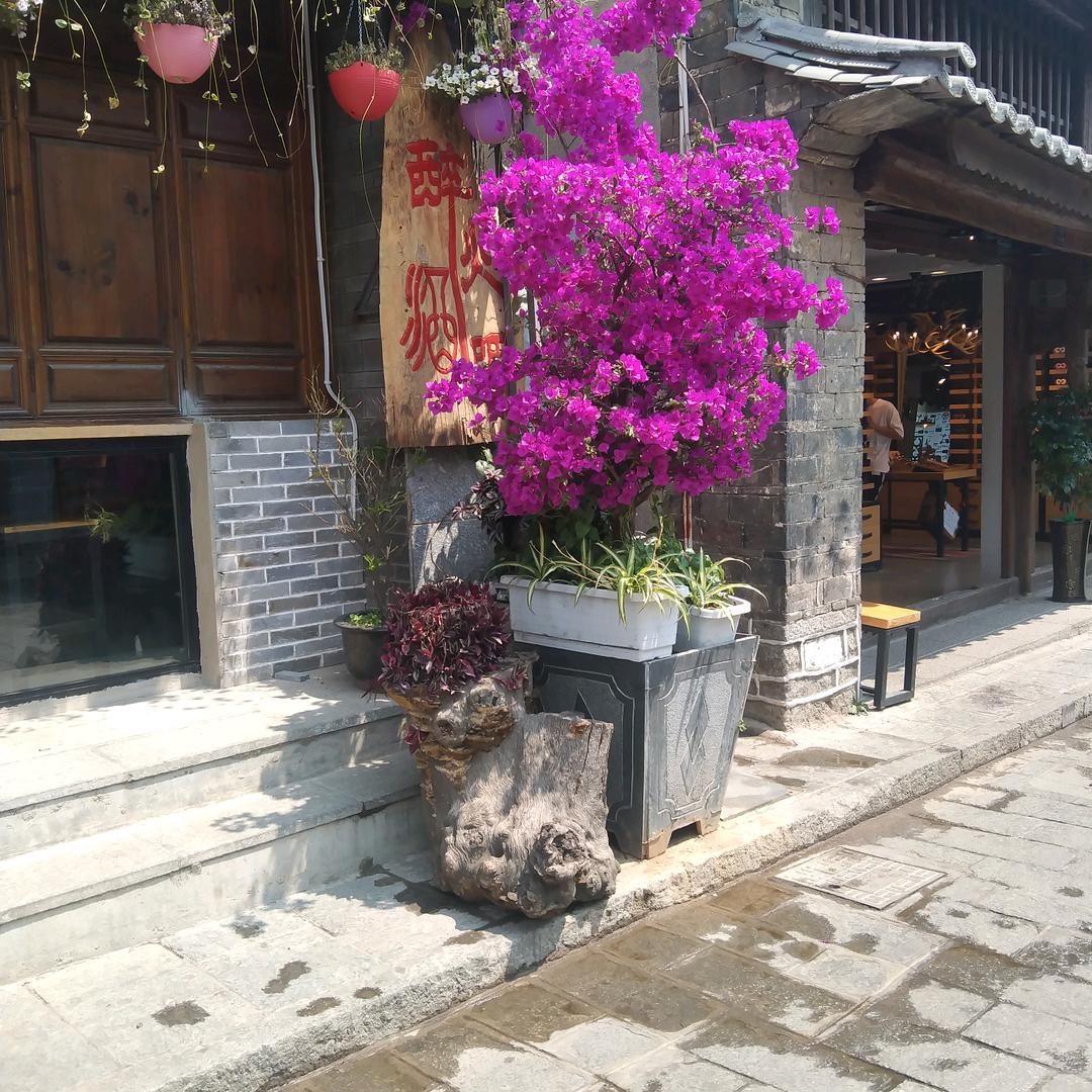 开心过好每一天👫