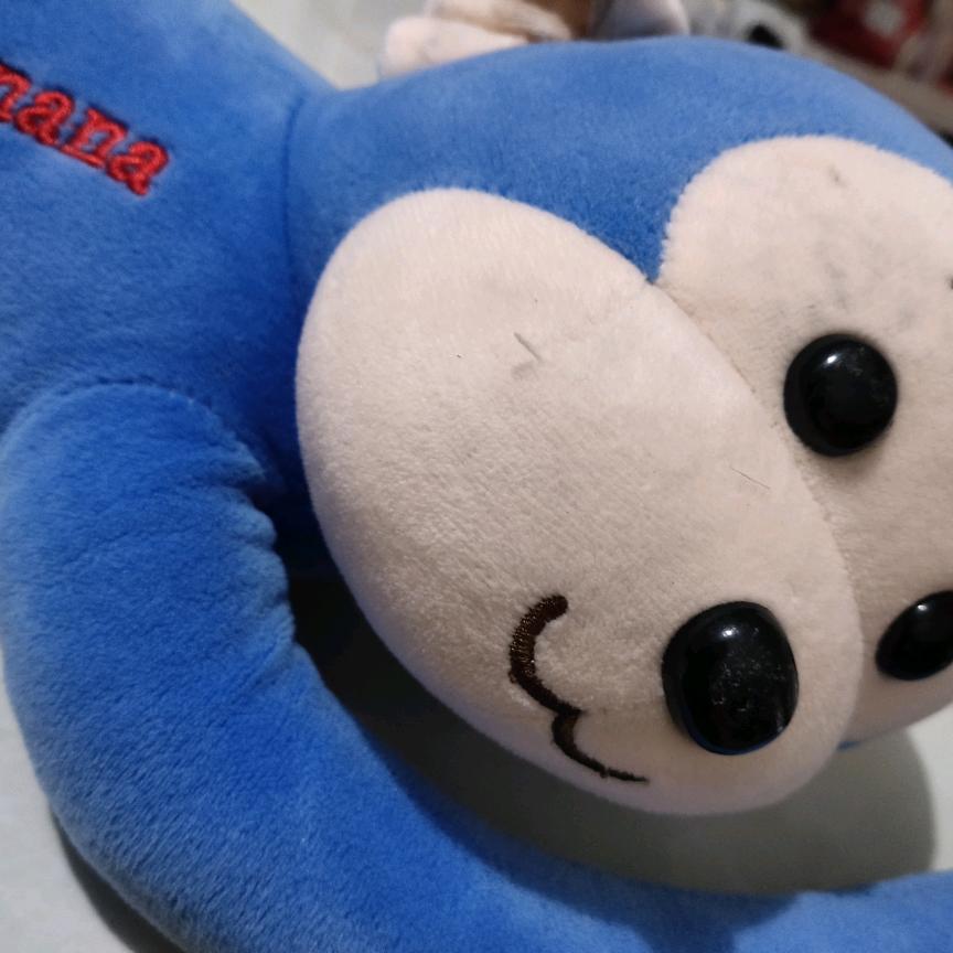 世界你好