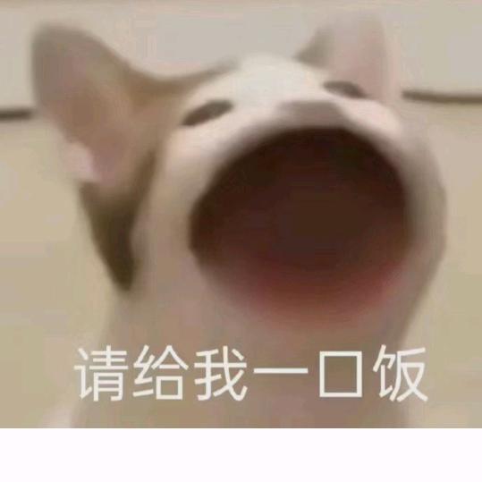 小凌同学今天吃饱了吗