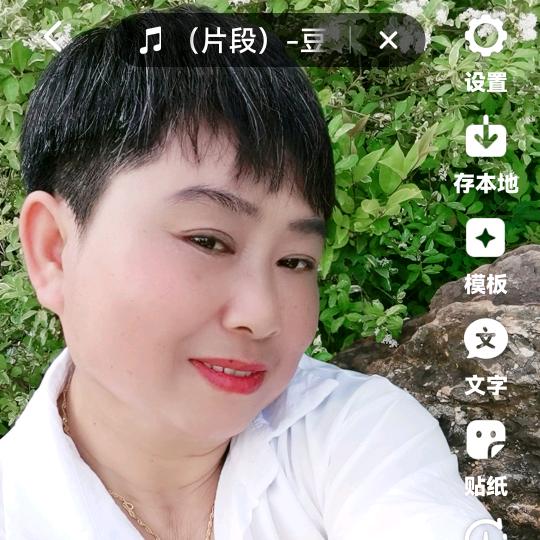 喜洋杨