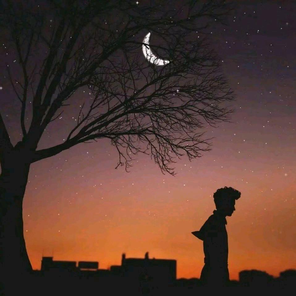 空念旧人