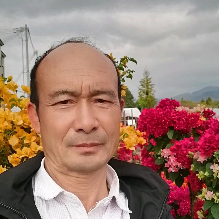 红叶花卉