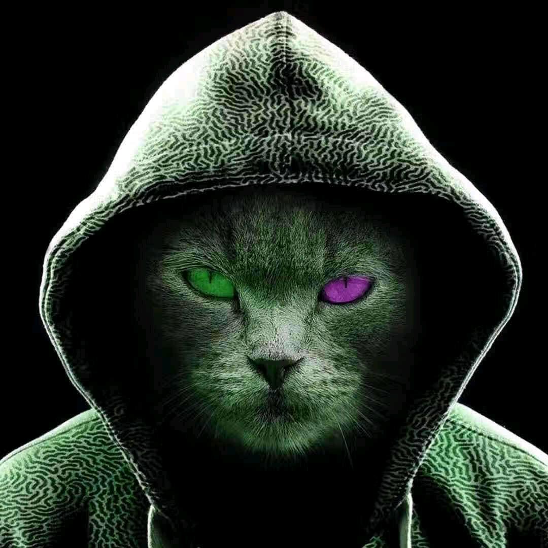 大吉大利财源广进身体健康家人平安一夜暴富