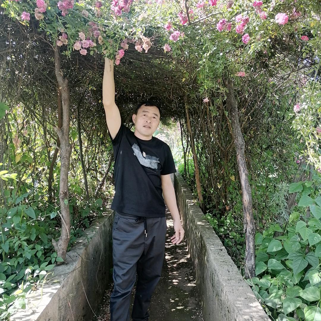 阳光下的春天