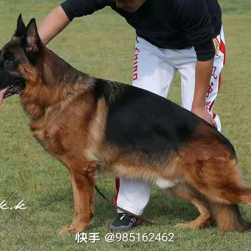 海南百川