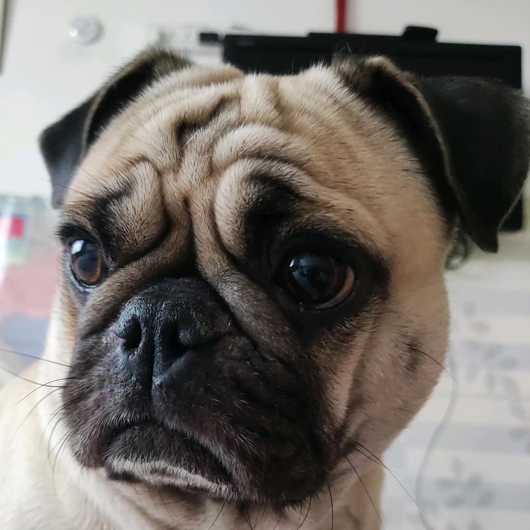 槿炎