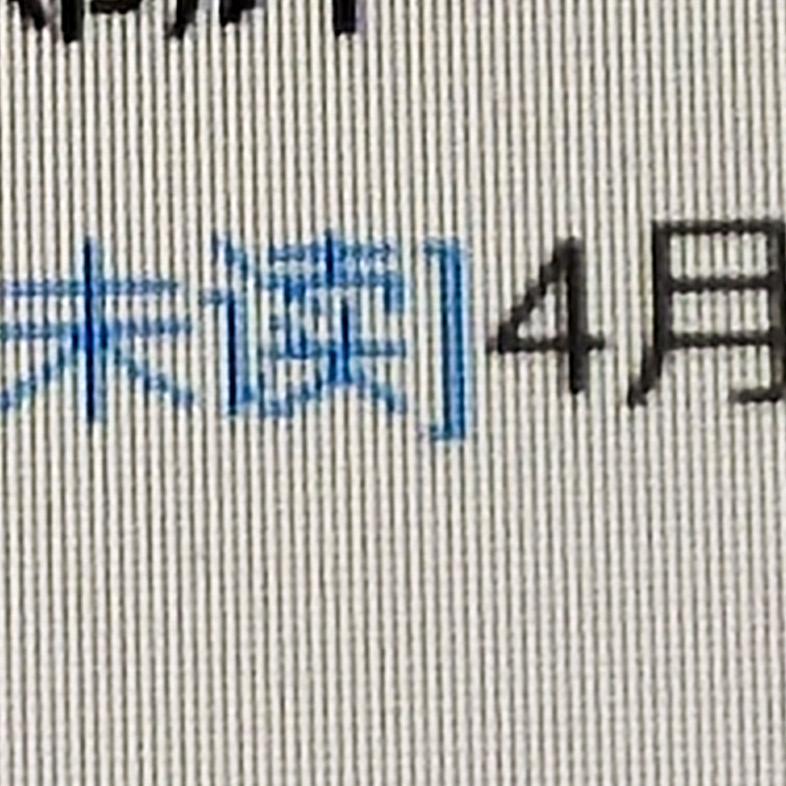 23号windon的观察日记