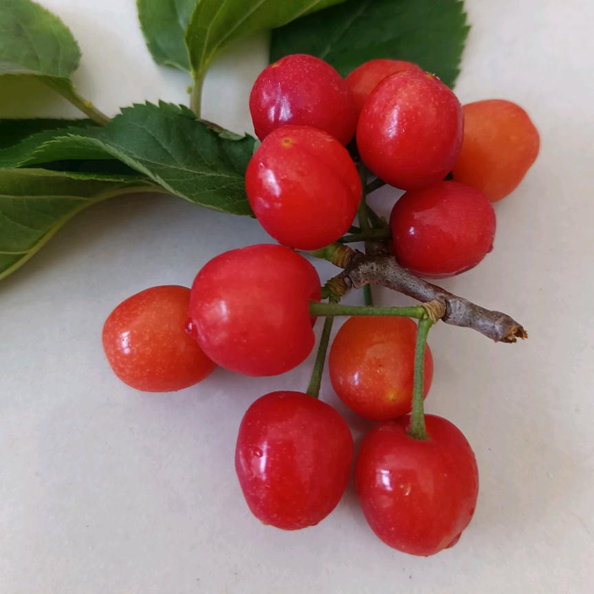 雨后彩虹