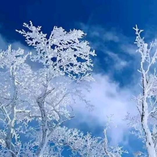 💞ℒᎭℯ⃝余生ᩚ安ᮨ໌້好࿐