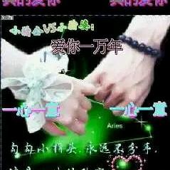 情为何物
