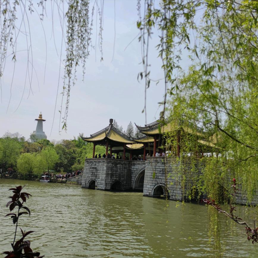 寸老师