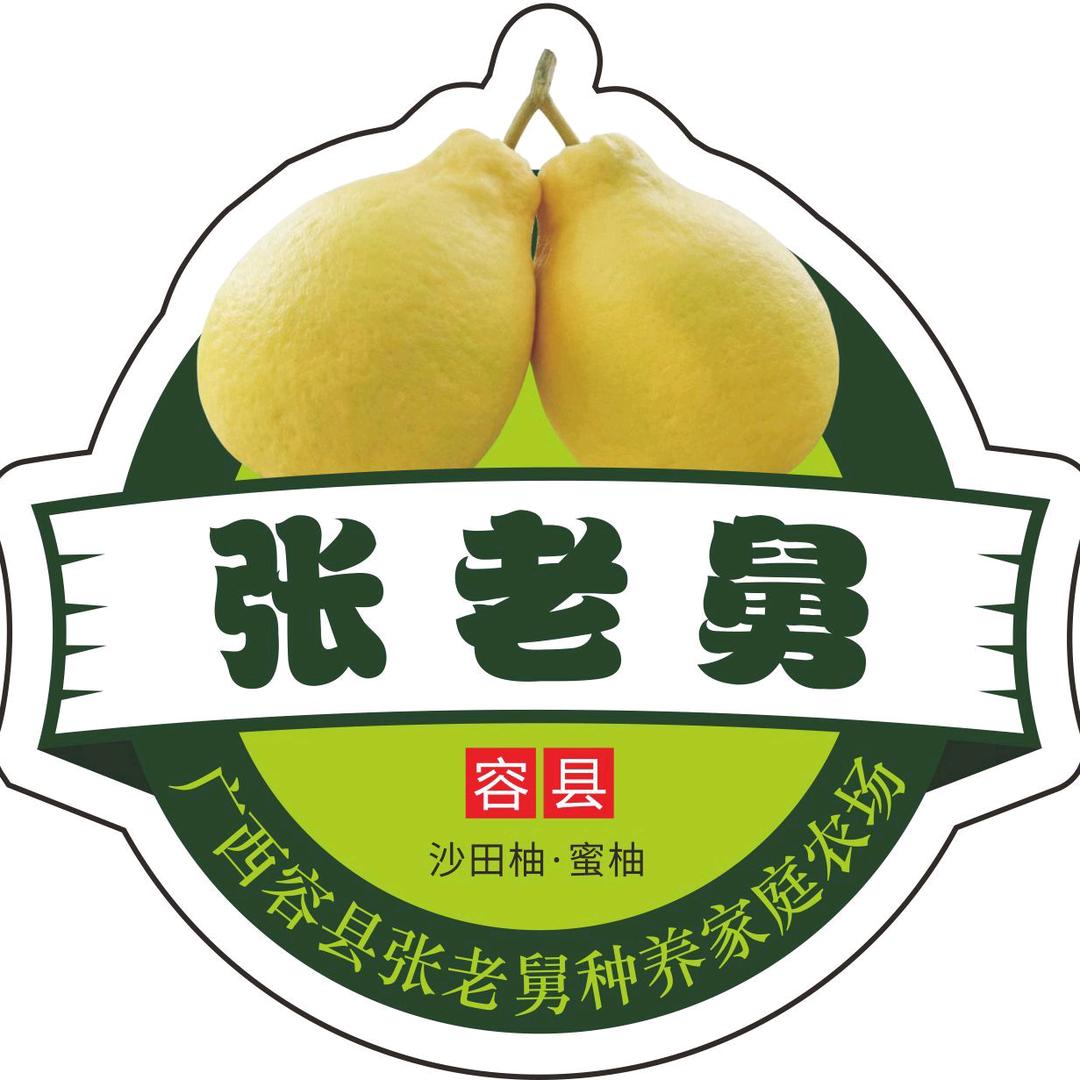 容县张老舅农特产