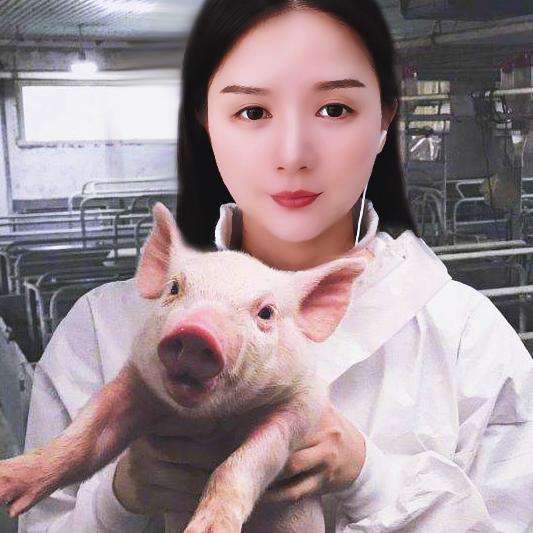 听我说养猪