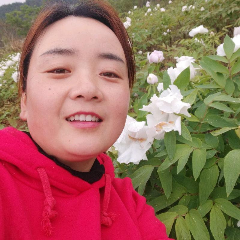 往事如风