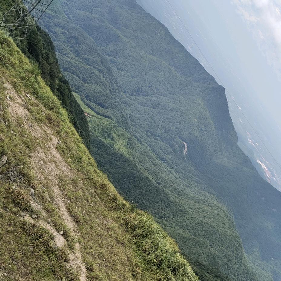 望乡思故
