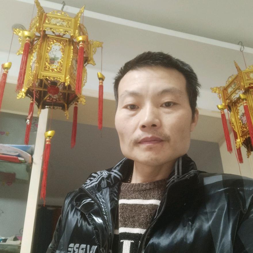 风止心动