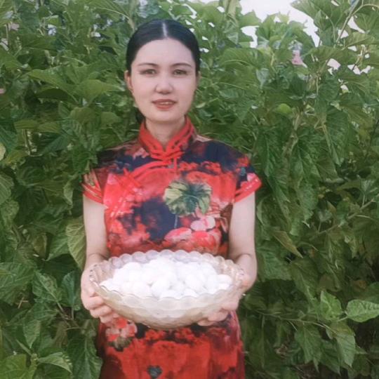 沈掌仙手工蚕丝被