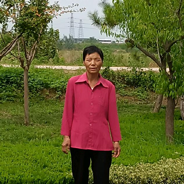 田姐(睌上9.30首播)