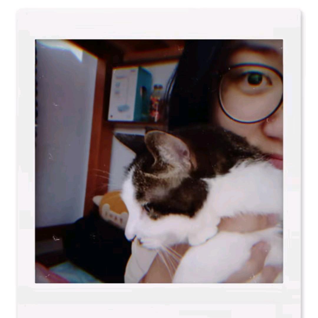 🌈菜籽籽籽🌸