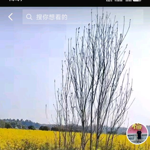 何哥