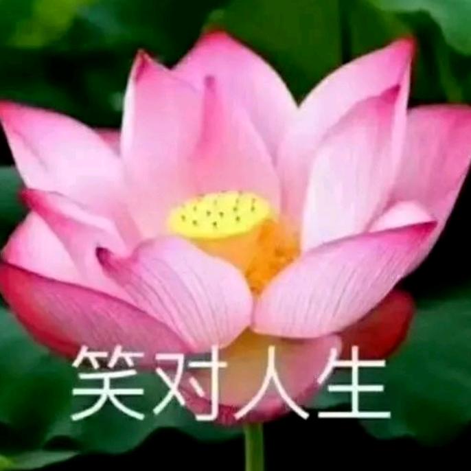 🧚‍♀️时来运转❤️不刷票