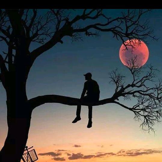自优游