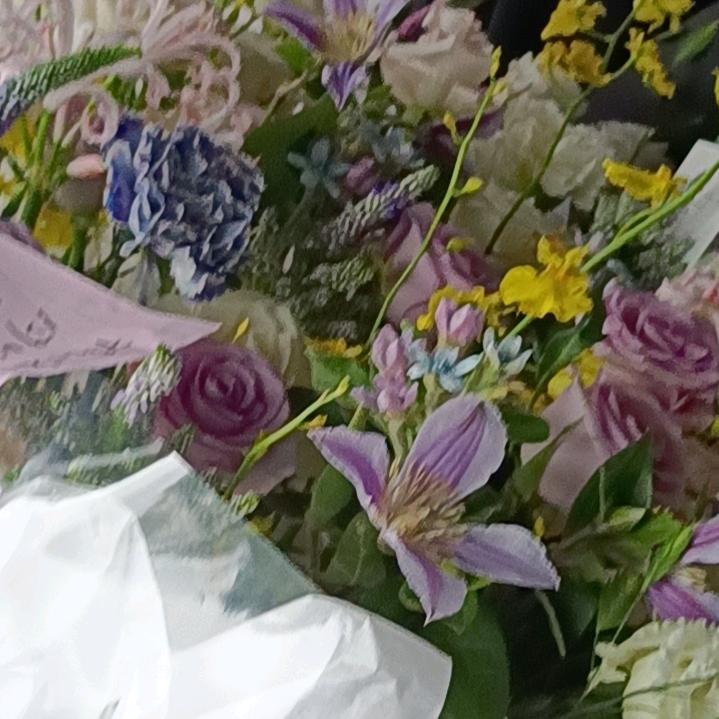 ✨💕ꦿ᭄餘鉎✨༉ᩚ᭄