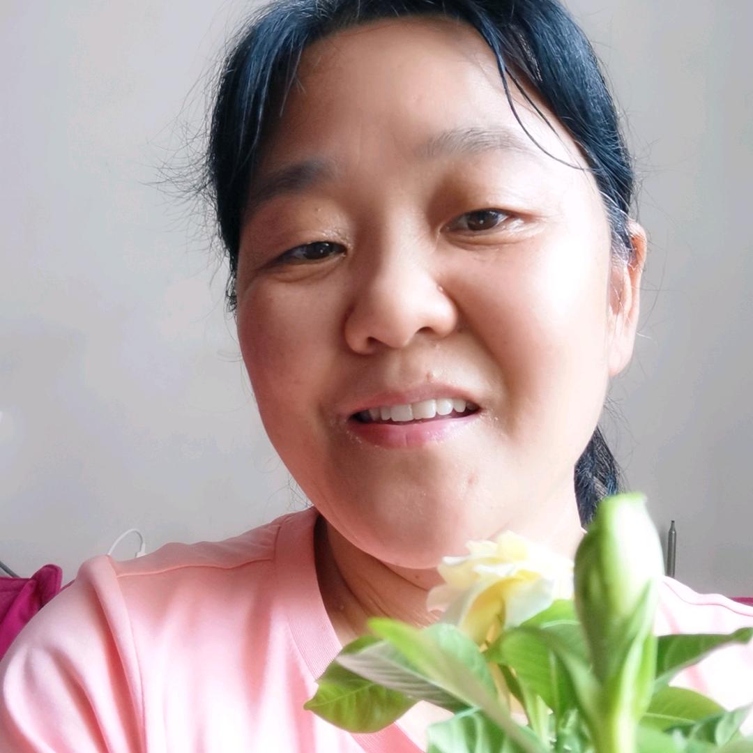 菲儿丫