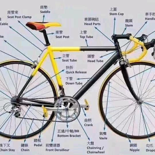 胜者为王