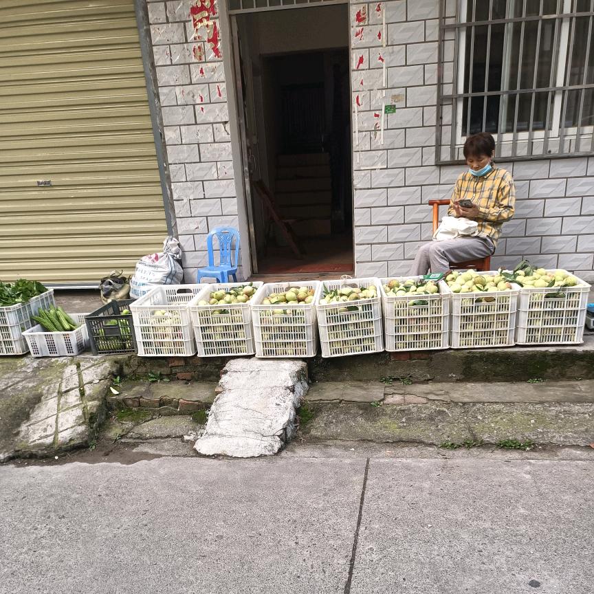 卖桃子的郑师傅