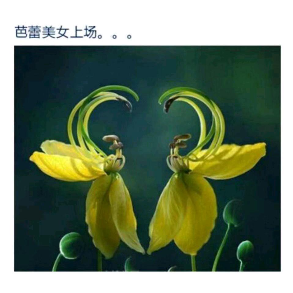 邯郸太阳能  指纹锁专业维修安装