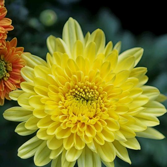 。。。。悦新三千