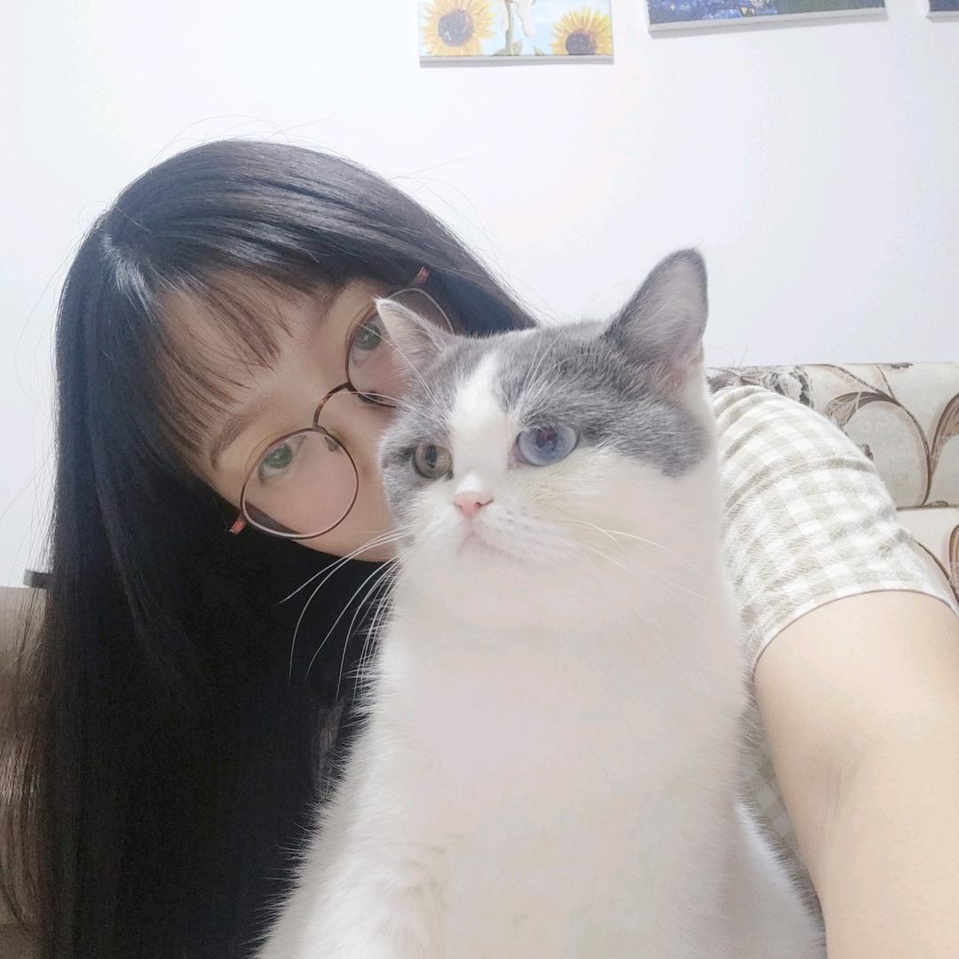 艾尔登之王