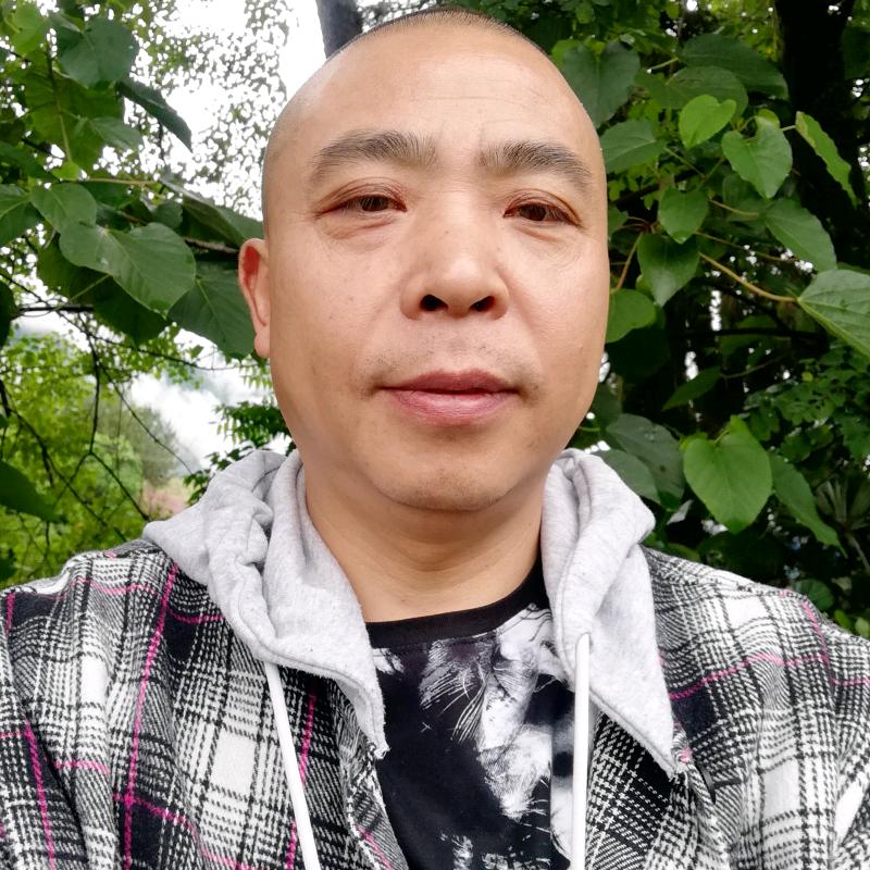 涛夫子