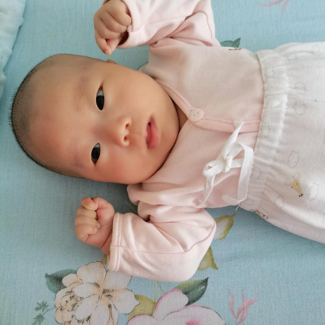 露儿