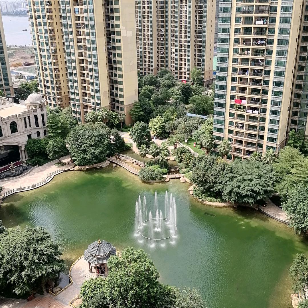 陶大哥