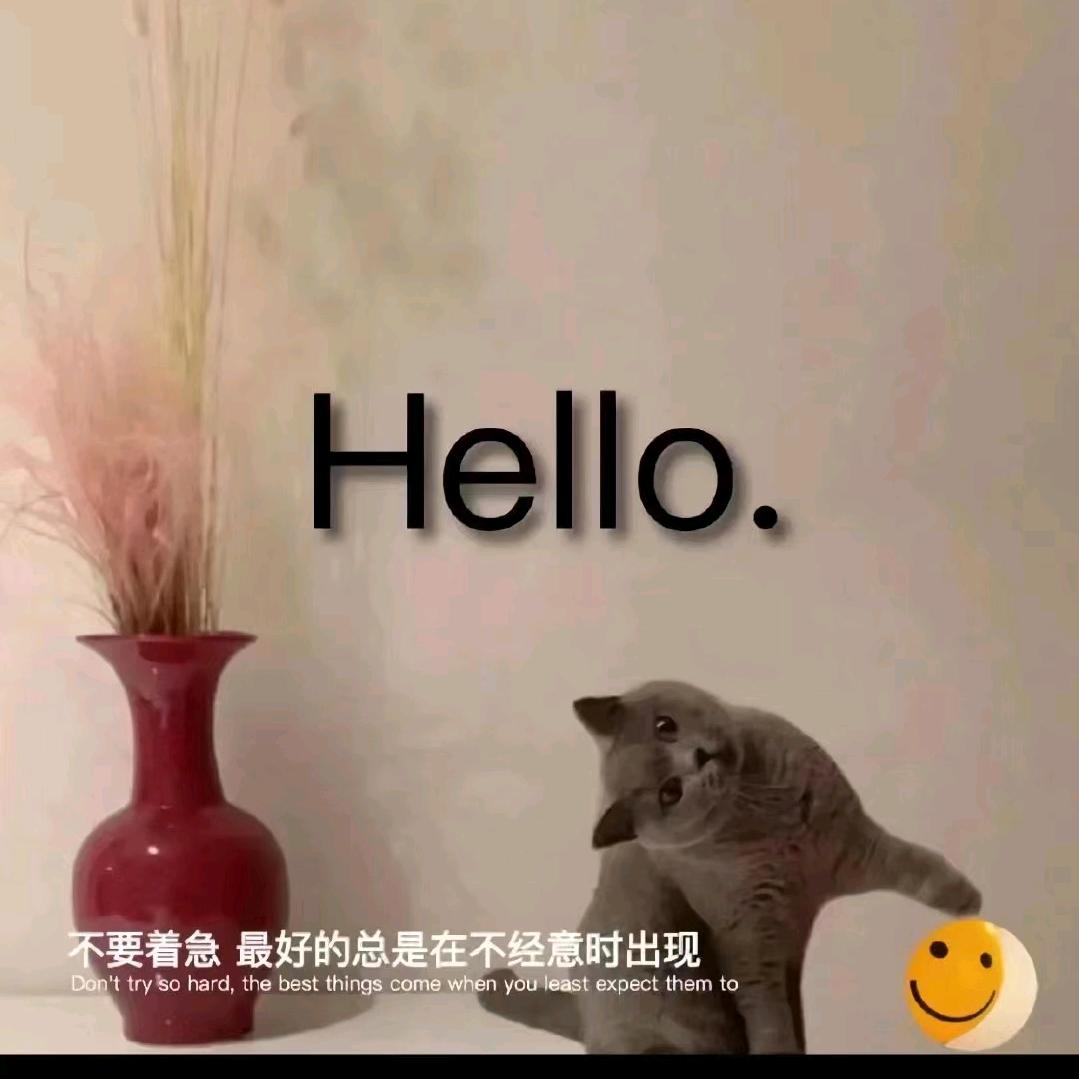 悠悠