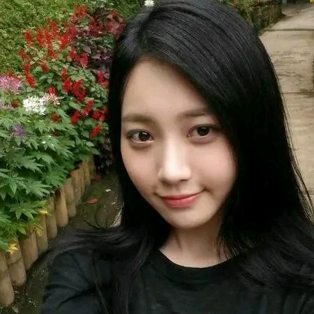 聪姐