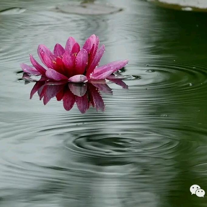 涟漪