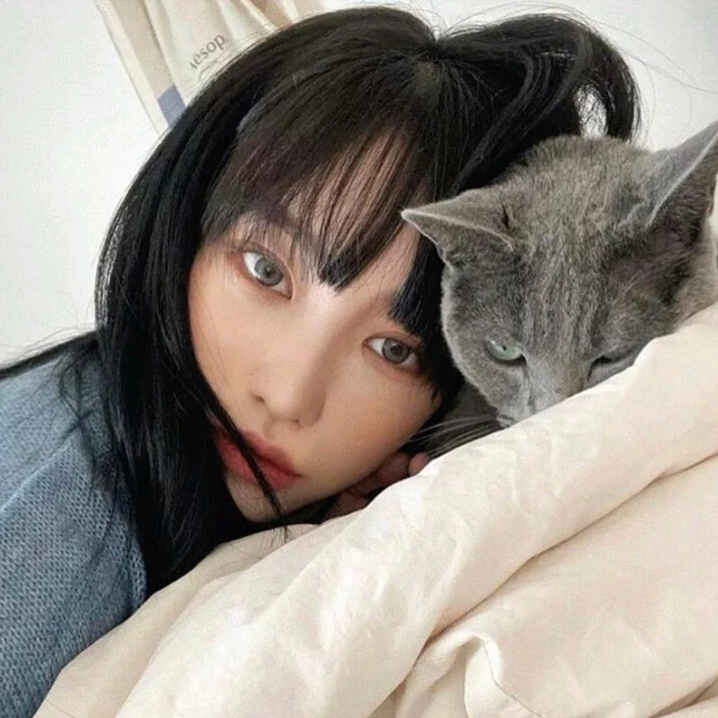 ·哒咩哟